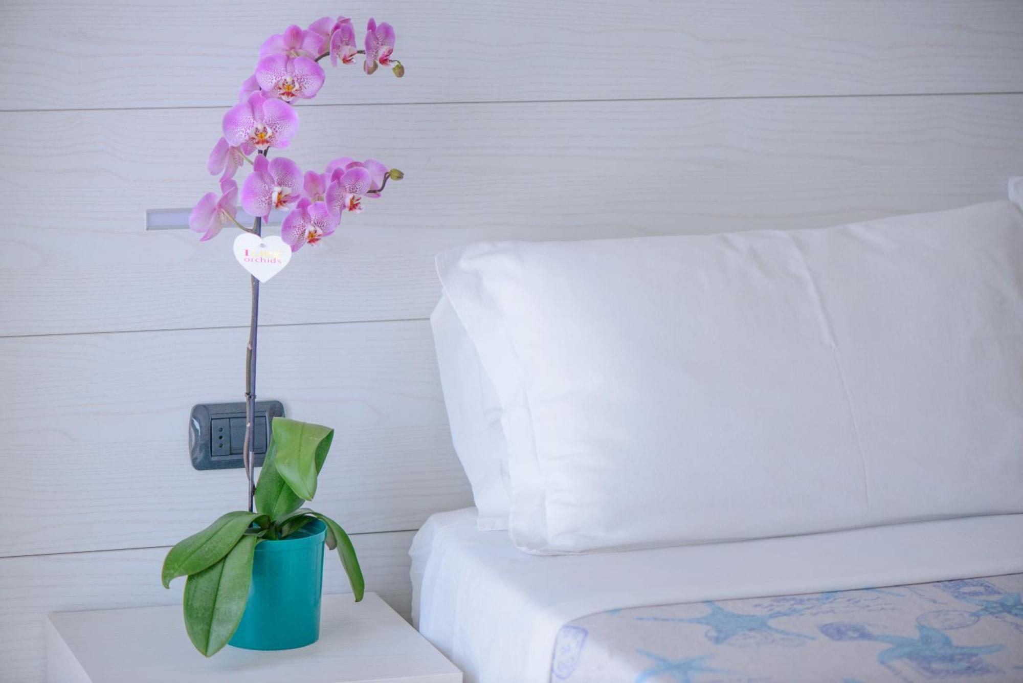 Hotel Sans Souci ริมินี ภายนอก รูปภาพ